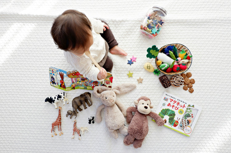 Silicone Fruit Feeder & Pacifier Teether